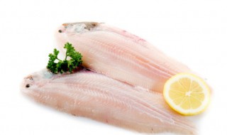 水煮鱼片用什么鱼 水煮鱼片用哪种鱼