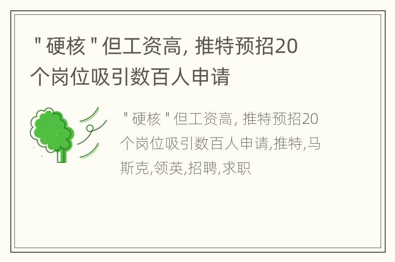 ＂硬核＂但工资高，推特预招20个岗位吸引数百人申请