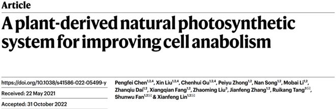 人也能“光合作用”？浙大成果登上《自然》