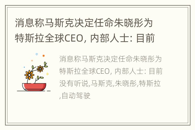 消息称马斯克决定任命朱晓彤为特斯拉全球CEO，内部人士：目前没有听说