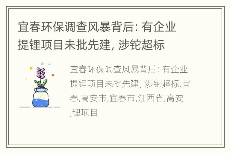 宜春环保调查风暴背后：有企业提锂项目未批先建，涉铊超标