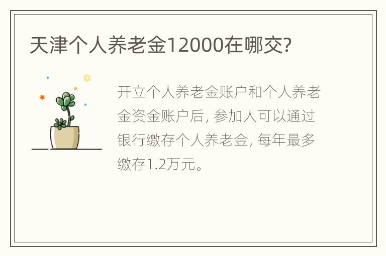天津个人养老金12000在哪交？