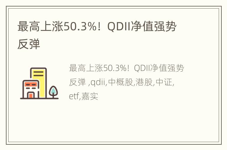 最高上涨50.3%！ QDII净值强势反弹