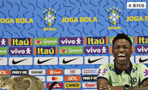 喵星人乱入巴西队发布会（一只狸花猫）