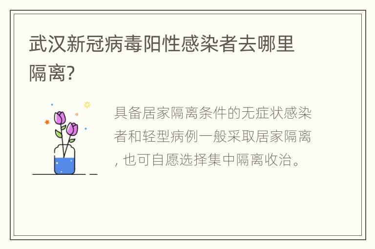 武汉新冠病毒阳性感染者去哪里隔离？