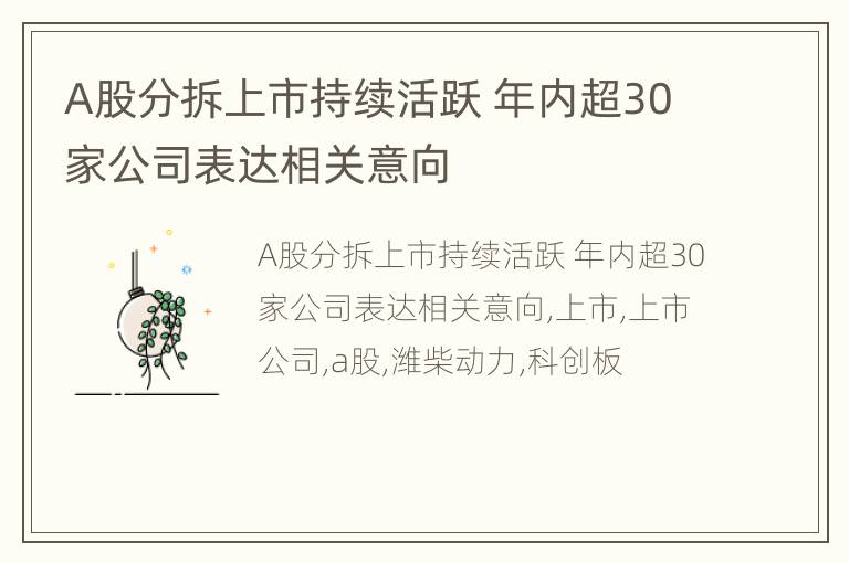 A股分拆上市持续活跃 年内超30家公司表达相关意向