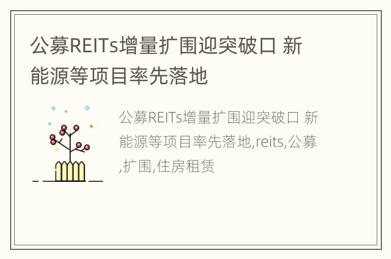 公募REITs增量扩围迎突破口 新能源等项目率先落地