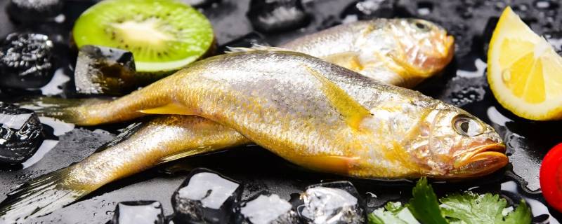 黄花鱼真空包装新鲜吗