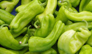 青椒怎么做蘸料 青椒蘸酱的简单做法