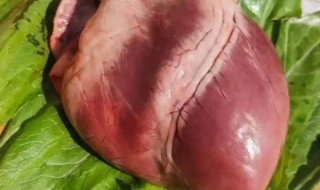 新鲜猪心怎么保鲜 猪心保存新鲜的方法