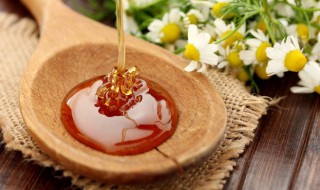 蜂蜜怎么做面膜最好方法 如何做蜂蜜面膜