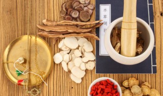 新鲜的草药怎么保存 怎样保存中药材