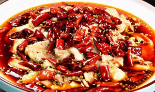 做水煮鱼的方法 水煮鱼如何做美味好吃