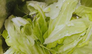 卷心菜如何做腌制方法 卷心菜怎么做腌制