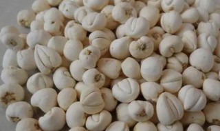 贝母放多久不能吃 川贝母放了6年还能吃吗