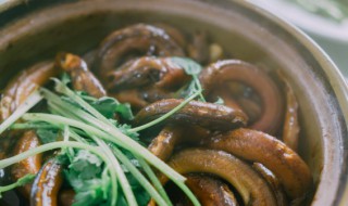 爆炒鳝鱼 爆炒鳝鱼的烹饪方法