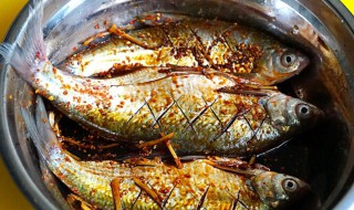 腌制鱼的方法怎么做 腌制鱼的方法如何做