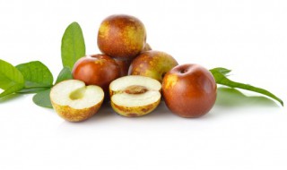 新鲜的枣子怎么保鲜 新鲜的枣子的保鲜方法分享