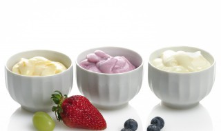 酸奶做酸奶的方法 正宗酸奶的做法