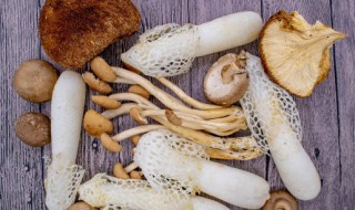 爆炒新鲜茶树菇 爆炒新鲜茶树菇怎么做好吃