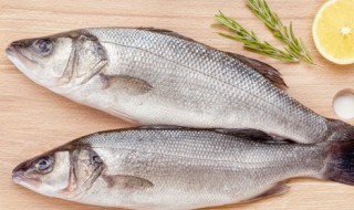 做鲈鱼的方法 鲈鱼怎么做好吃