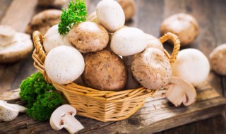 蘑菇做汤的方法 蘑菇做汤的方法介绍