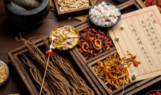 狗鞭怎样晒干制作方法窍门 狗鞭的炮制方法