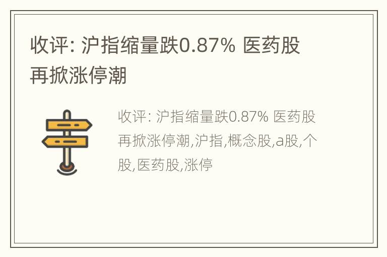 收评：沪指缩量跌0.87% 医药股再掀涨停潮