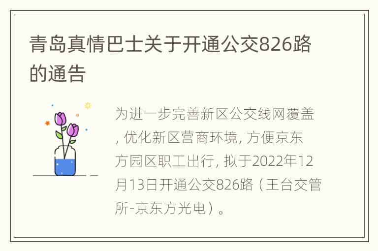 青岛真情巴士关于开通公交826路的通告