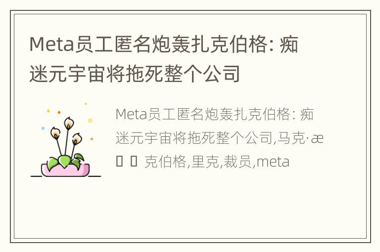 Meta员工匿名炮轰扎克伯格：痴迷元宇宙将拖死整个公司