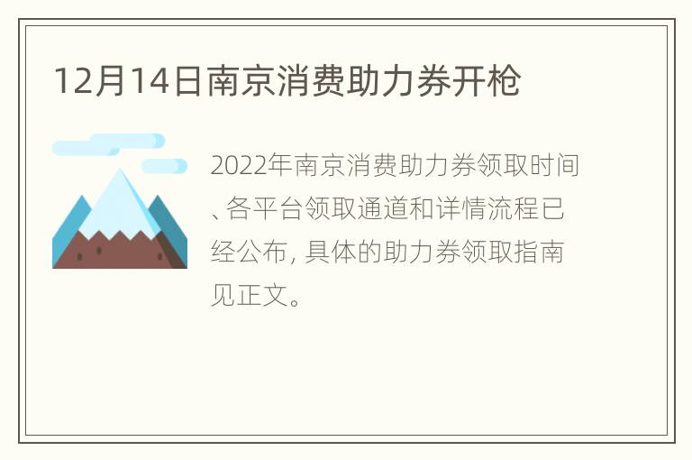 12月14日南京消费助力券开枪