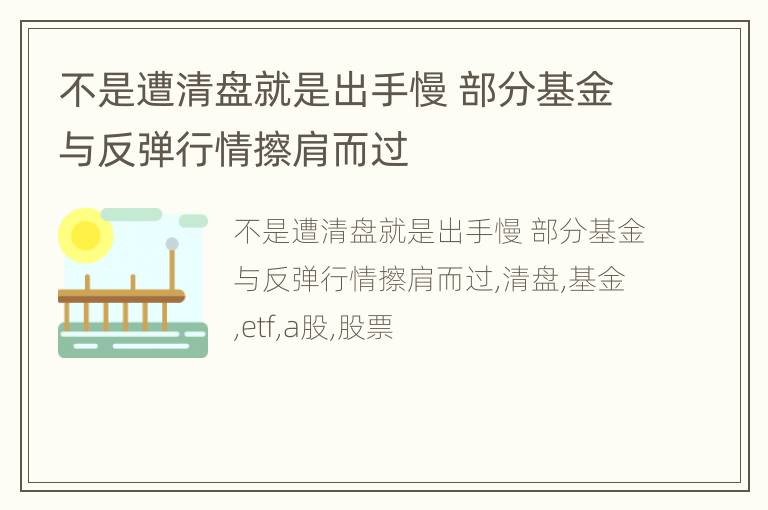 不是遭清盘就是出手慢 部分基金与反弹行情擦肩而过