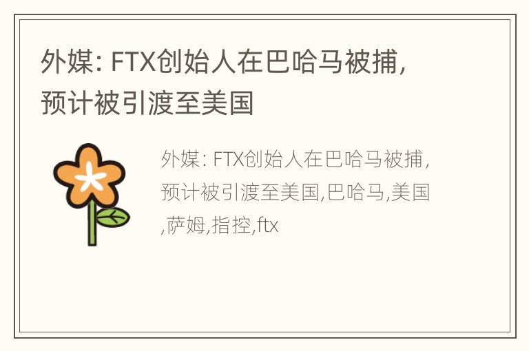 外媒：FTX创始人在巴哈马被捕，预计被引渡至美国