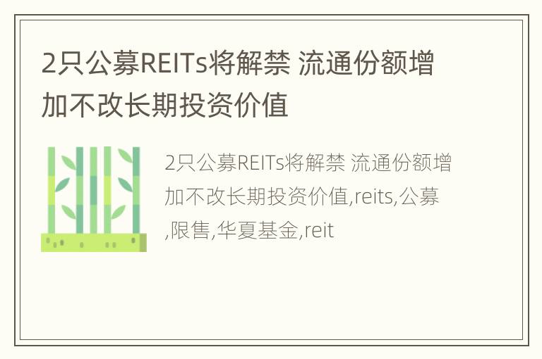 2只公募REITs将解禁 流通份额增加不改长期投资价值