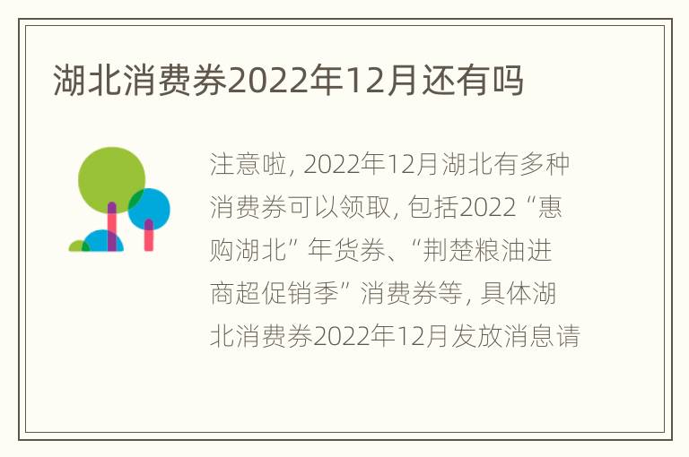 湖北消费券2022年12月还有吗