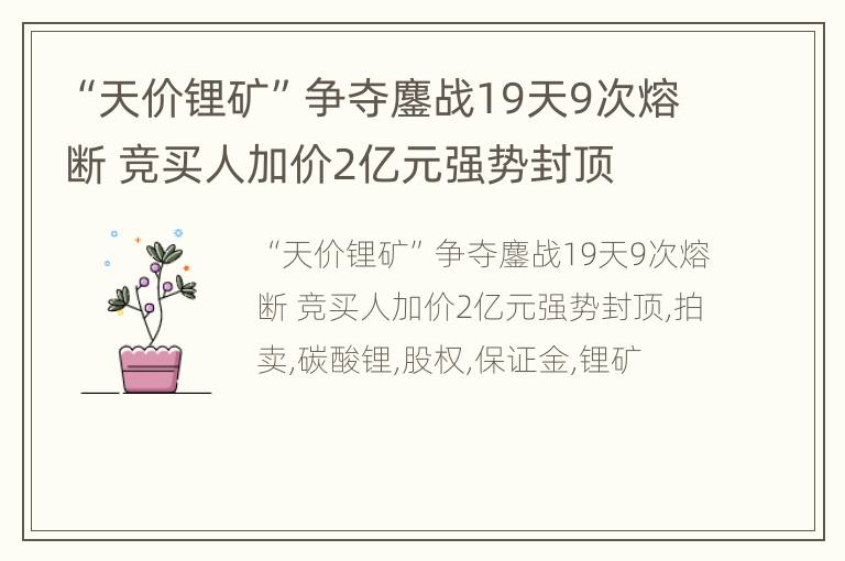 “天价锂矿”争夺鏖战19天9次熔断 竞买人加价2亿元强势封顶