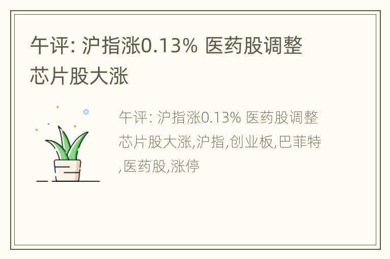 午评：沪指涨0.13% 医药股调整芯片股大涨