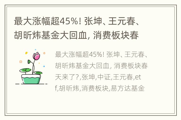 最大涨幅超45%！张坤、王元春、胡昕炜基金大回血，消费板块春天来了？