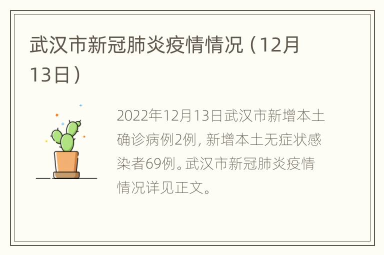 武汉市新冠肺炎疫情情况（12月13日）