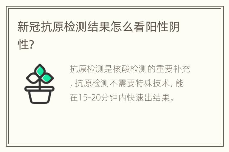 新冠抗原检测结果怎么看阳性阴性？