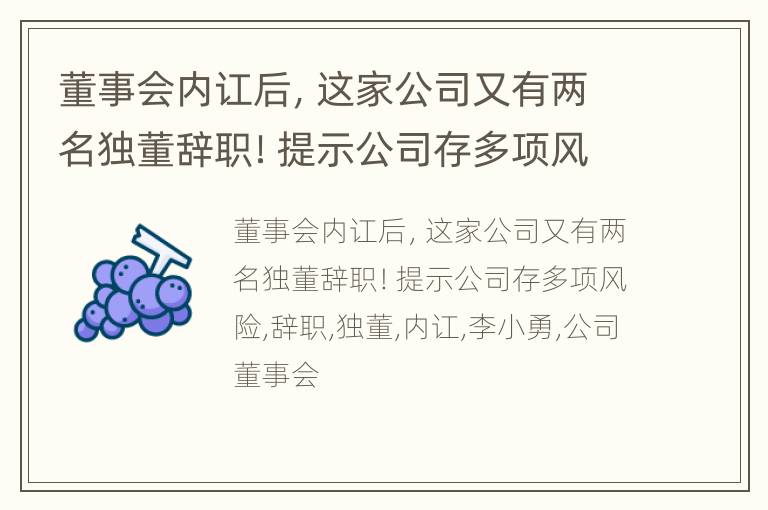 董事会内讧后，这家公司又有两名独董辞职！提示公司存多项风险