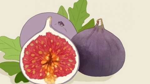 无花果用剥皮吃么 新鲜无花果用剥皮吃么