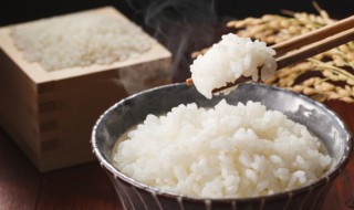 米饭放一晚上还能吃吗 米饭放一晚上可以吃吗