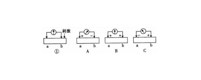 电流从a流向b哪个电势高