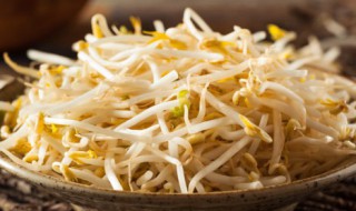 豆芽怎么保鲜才新鲜呢 豆芽保存新鲜的方法