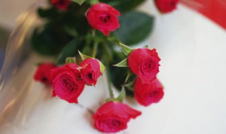 新鲜玫瑰花瓣煮水怎么做 新鲜玫瑰花瓣煮水如何制作