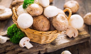 蘑菇放久了还能吃吗 蘑菇放久了可以吃吗