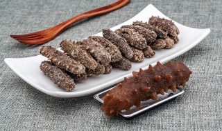 刺参怎么泡发 刺参如何泡发