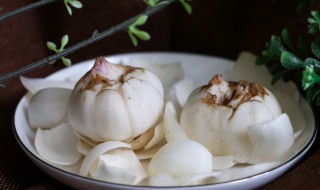 新鲜百合怎么保鲜 新鲜百合如何保鲜呢