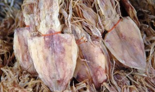 干货鱿鱼怎么泡发 干货鱿鱼如何泡发